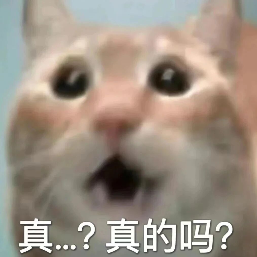 1763116099663352.jpg 2.jpg